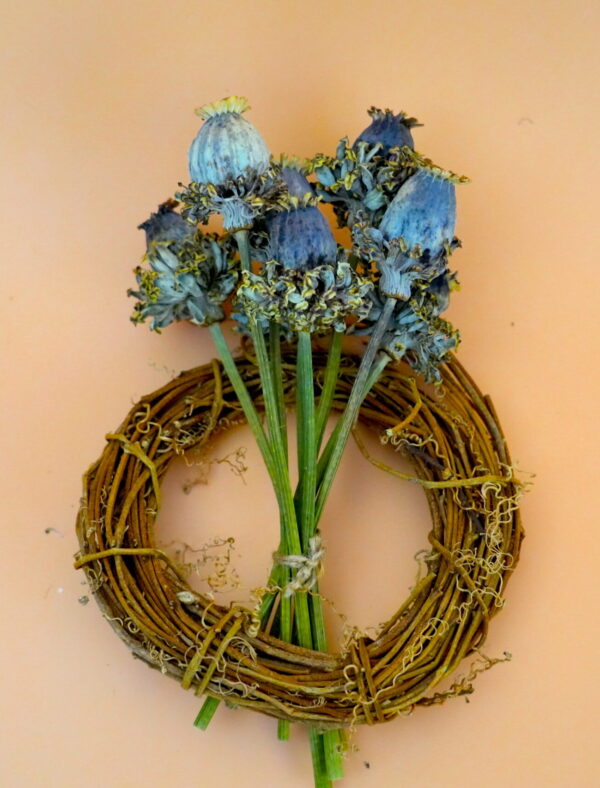 ‘Hen & Chickens’ Poppy Pods