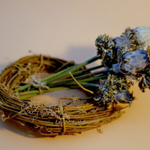 ‘Hen & Chickens’ Poppy Pods