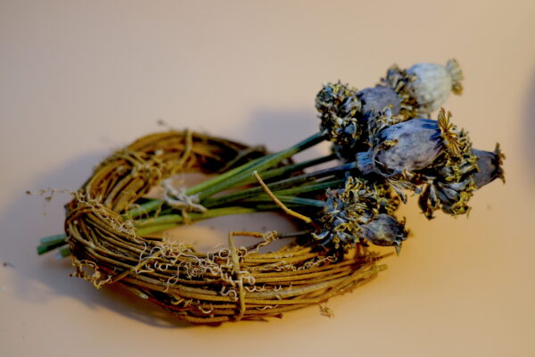 ‘Hen & Chickens’ Poppy Pods